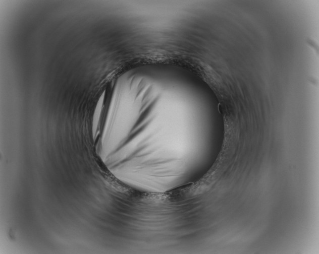 X0000097950576200804141006
