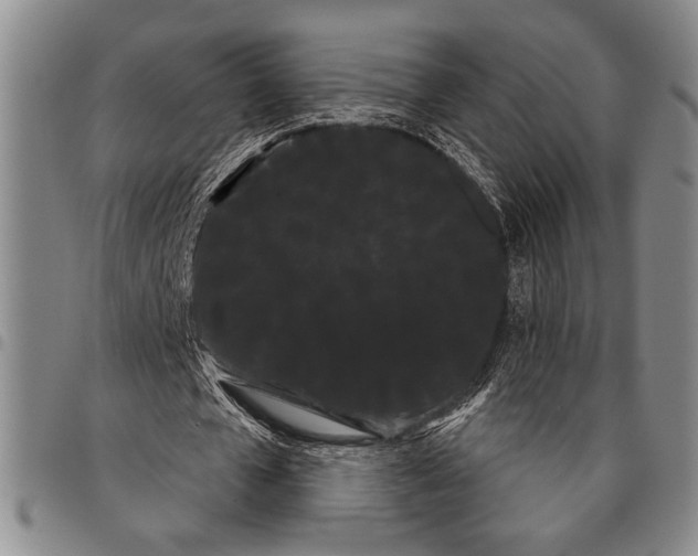 X0000097950577200804141006