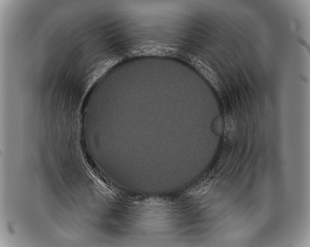 X0000097950578200804141006