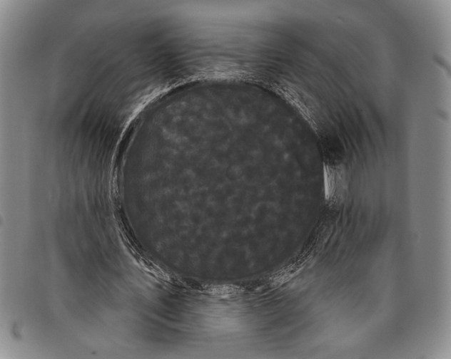 X0000097950579200804141006