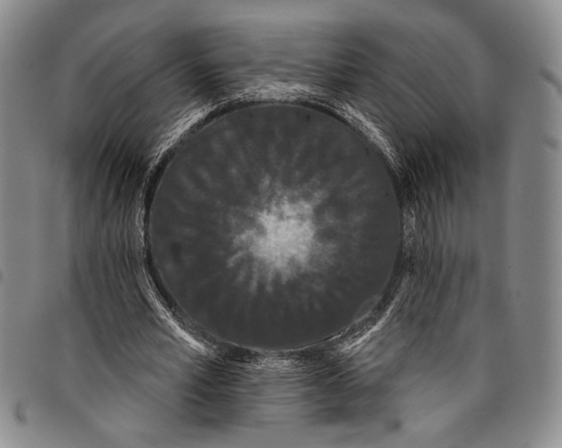 X0000097950581200804141006