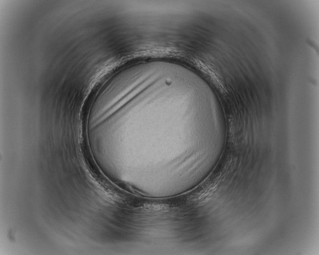 X0000097950582200804141006