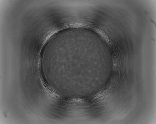 X0000097950583200804141006