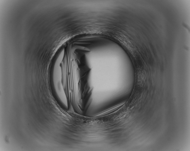 X0000097950584200804141006