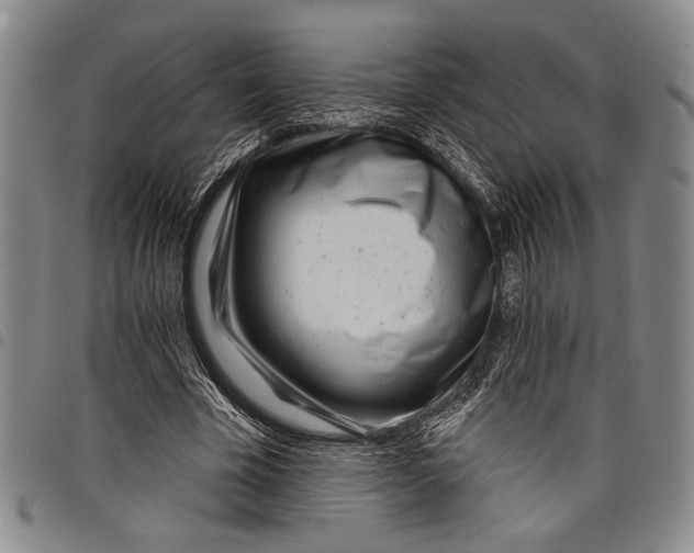 X0000097950585200804141006