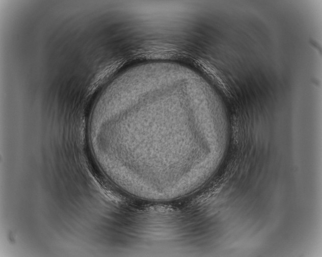 X0000097950586200804141006
