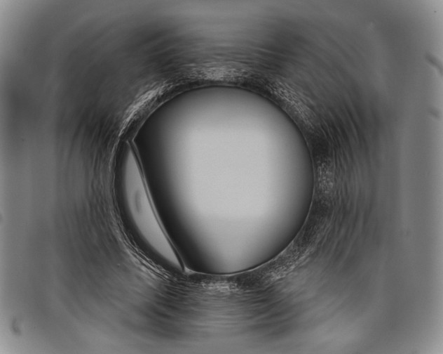 X0000097950587200804141005