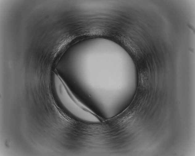X0000097950588200804141005