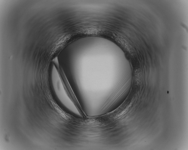 X0000097950589200804141005