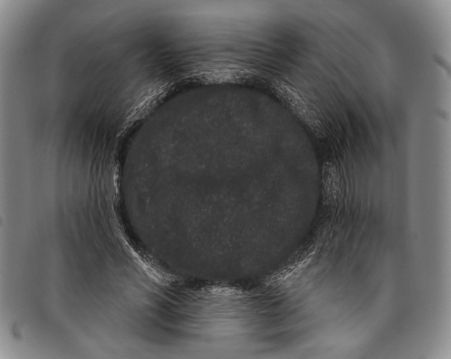 X0000097950590200804141005