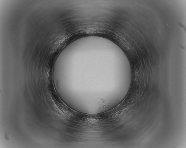 X0000097950592200804141005
