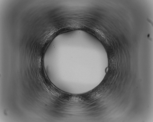 X0000097950596200804141005