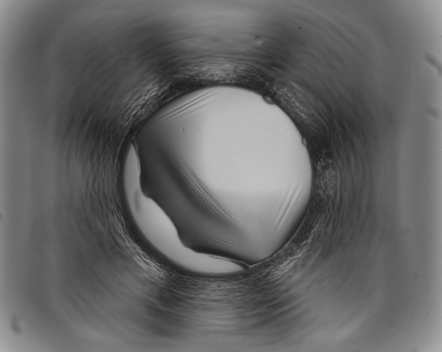 X0000097950597200804141005