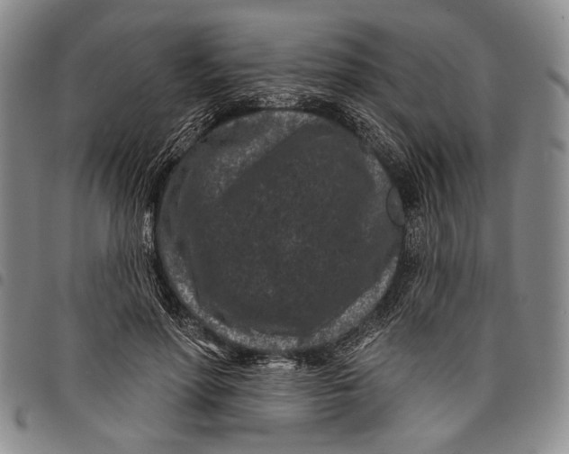X0000097950598200804141005