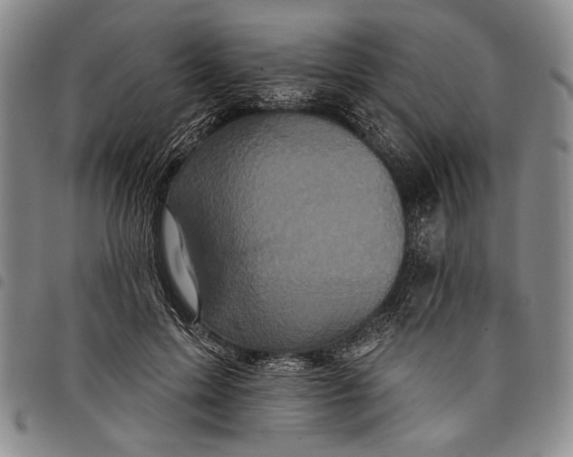 X0000097950599200804141005