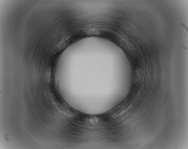 X0000097950600200804141005