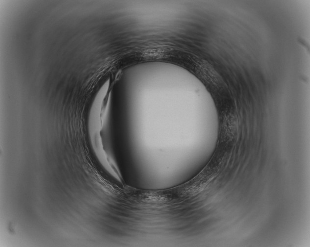 X0000097950601200804141005