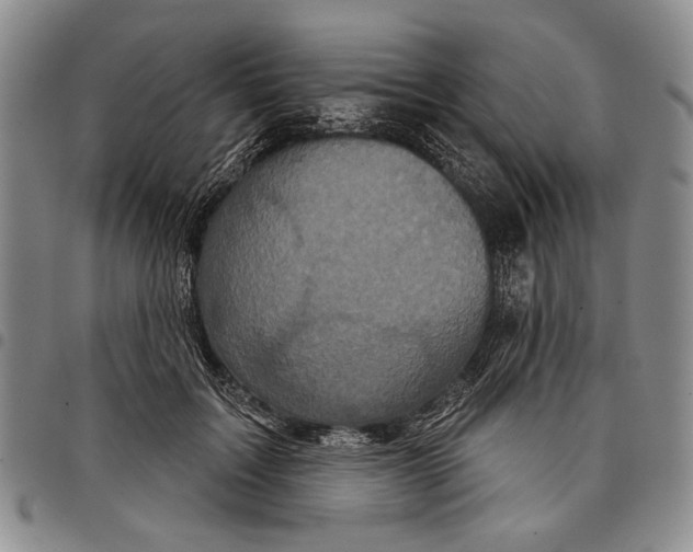 X0000097950603200804141005