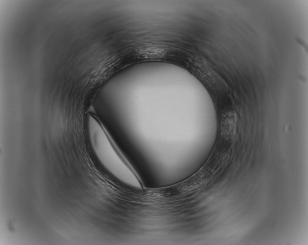 X0000097950604200804141005