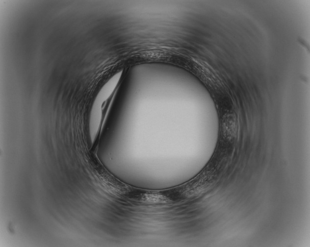 X0000097950605200804141005