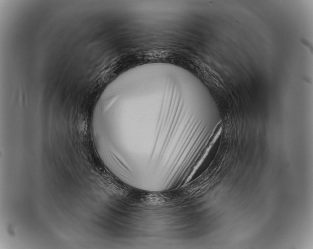 X0000097950608200804141005