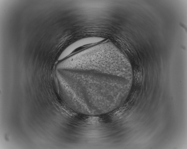 X0000097950609200804141005