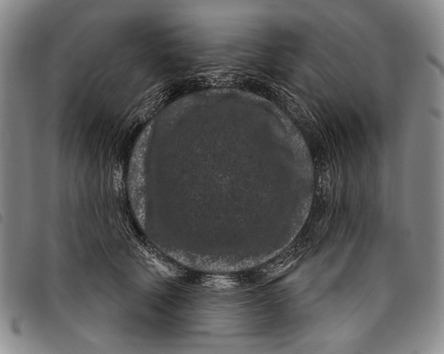 X0000097950610200804141005