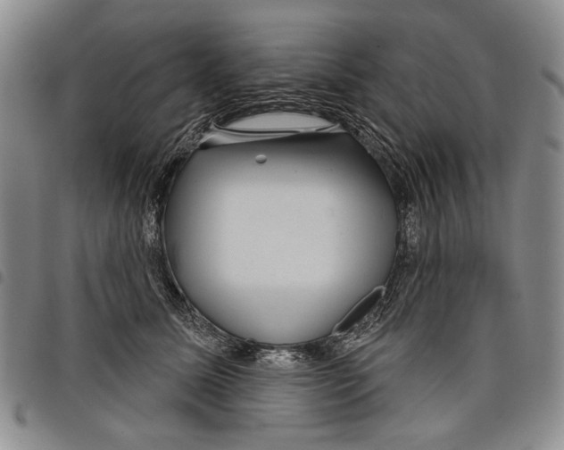 X0000097950611200804141005