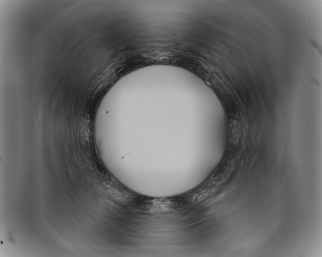 X0000097950612200804141005