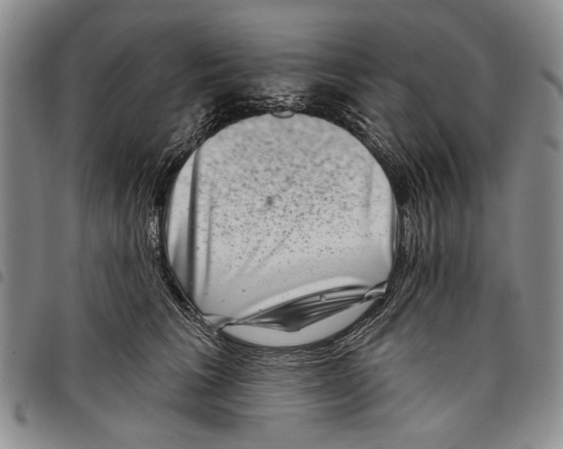 X0000097950613200804141005