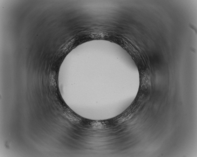 X0000097950616200804141005