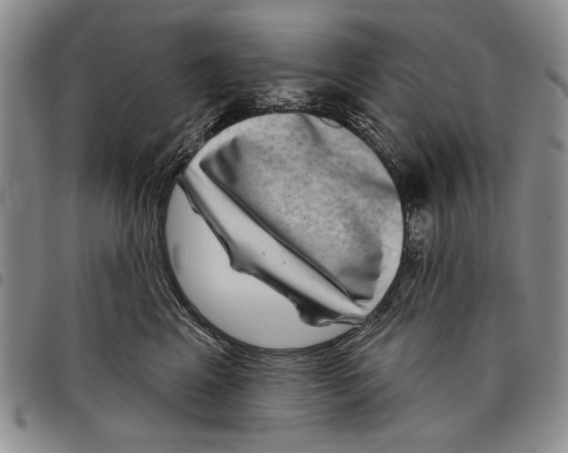 X0000097950617200804141005