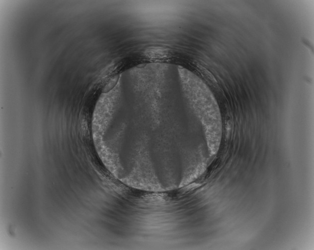 X0000097950618200804141005