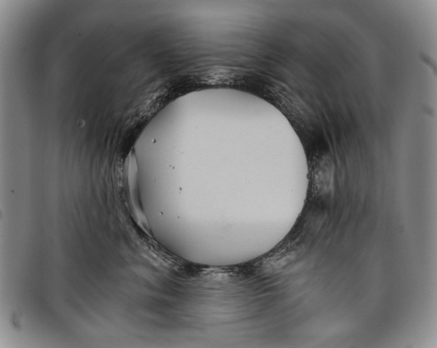 X0000097950620200804141005