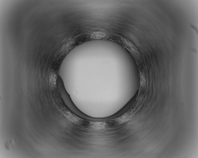 X0000097950621200804141005