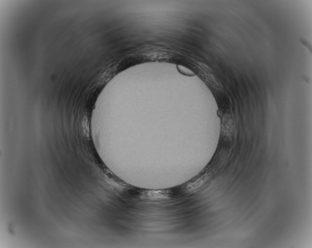 X0000097950622200804141005