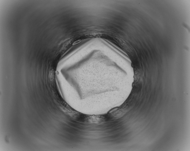 X0000097950623200804141005