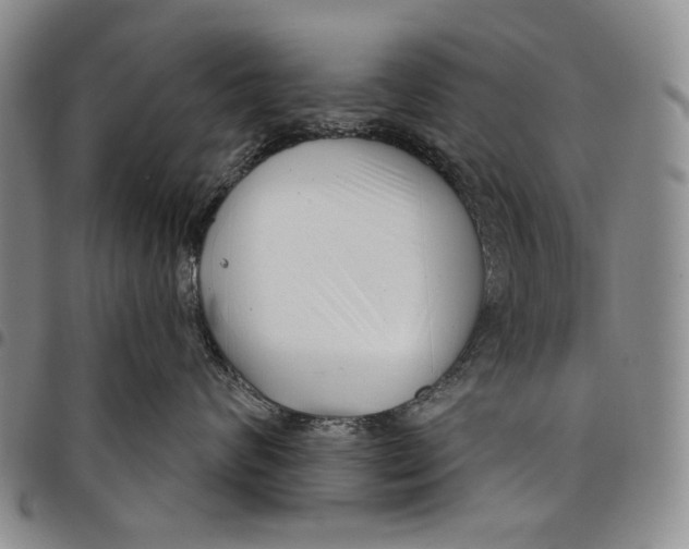 X0000097950624200804141005