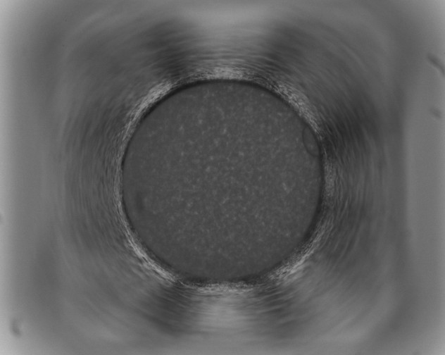 X0000097950625200804141004