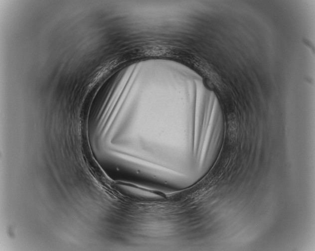 X0000097950626200804141004