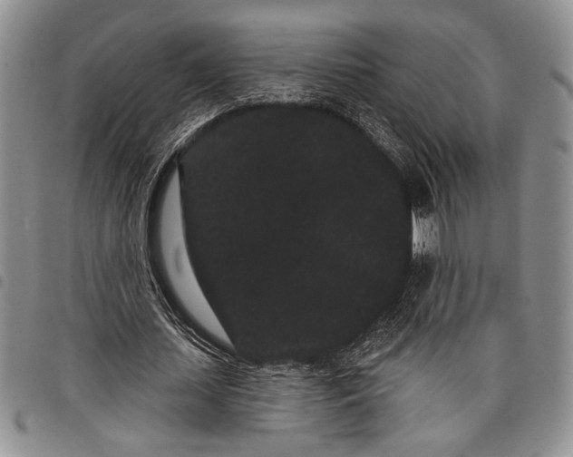 X0000097950627200804141004