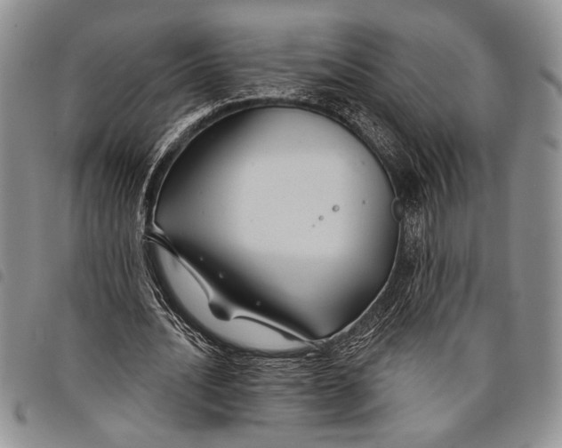 X0000097950628200804141004
