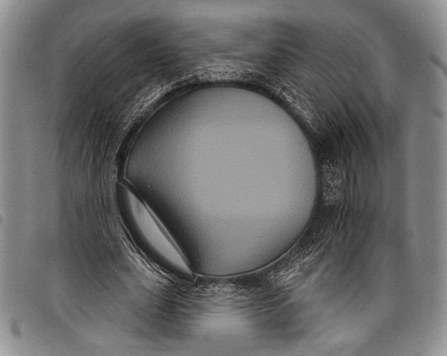 X0000097950631200804141004