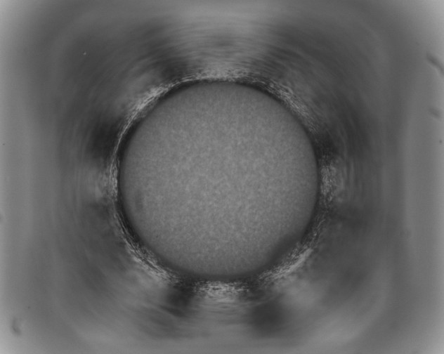 X0000097950632200804141004