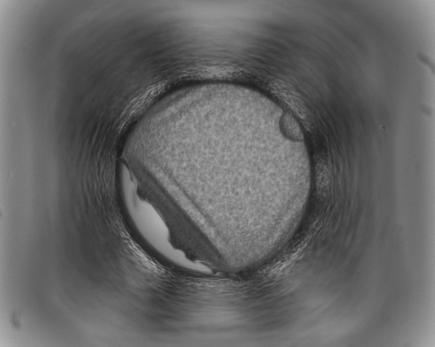 X0000097950633200804141004