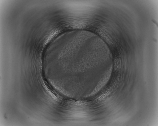 X0000097950634200804141004