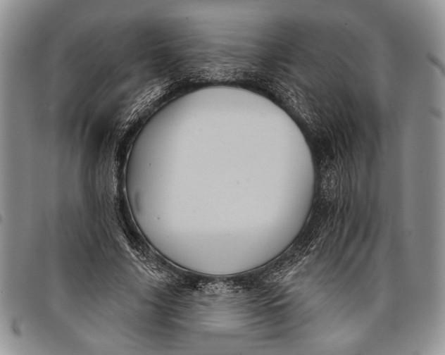 X0000097950635200804141004