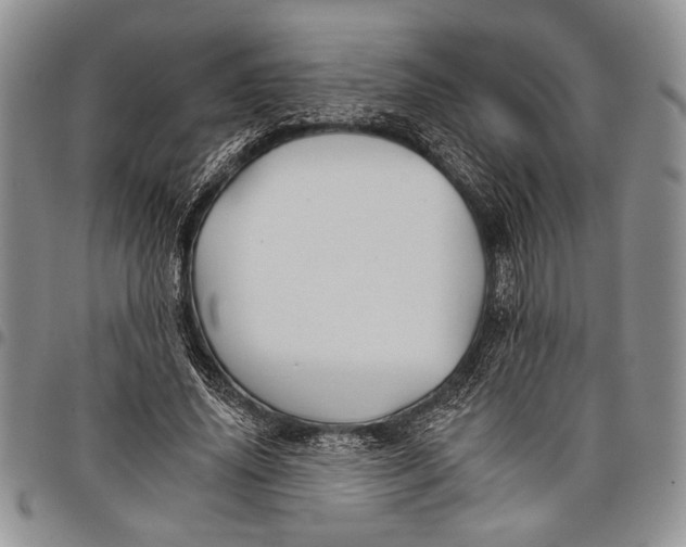 X0000097950636200804141004