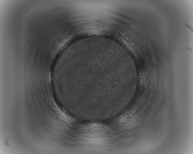 X0000097950637200804141004