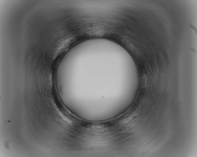 X0000097950638200804141004